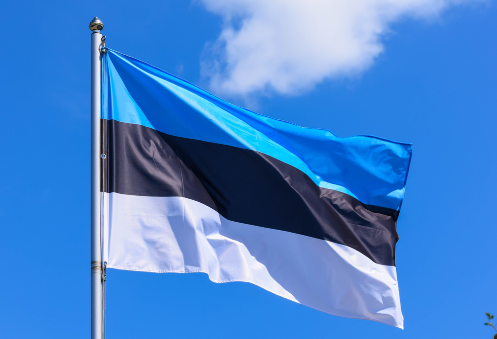 Eesti rahvuslipp, sinimustvalge.